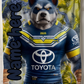 PRE ORDER - LARGE COWBOYS BLANKET