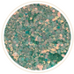 GREEN CHAMELEON GLITTER