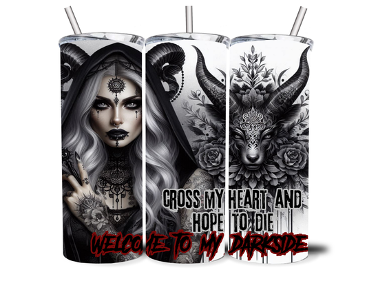 WELCOME TO THE DARK SIDE 20OZ INSULATED TUMBLER
